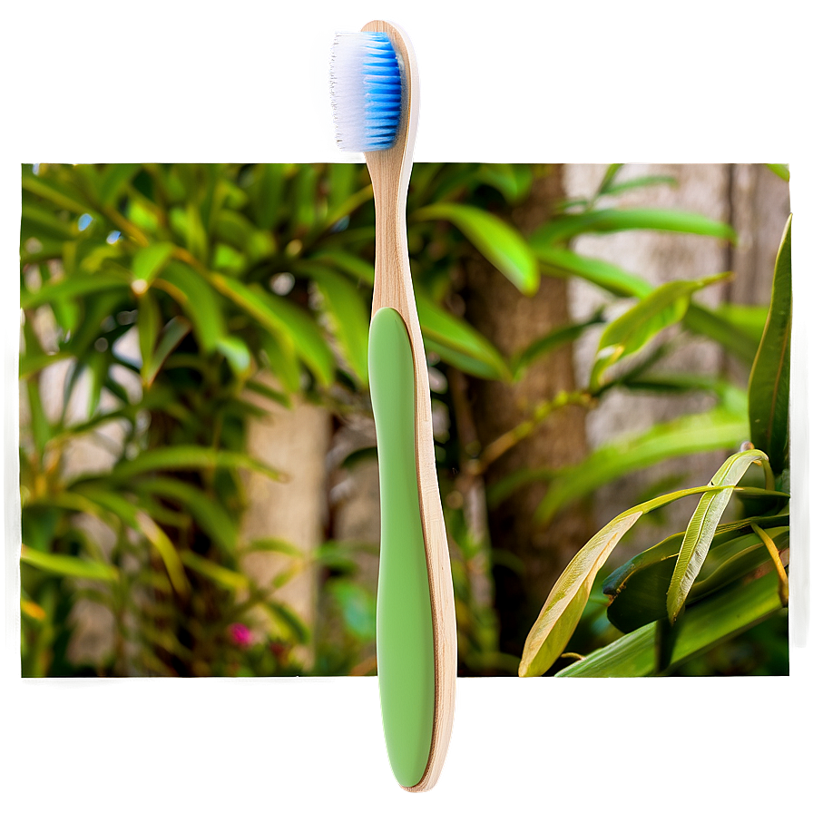 Biodegradable Toothbrush Png 05252024 PNG image