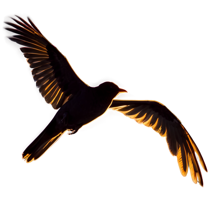 Bird Flying Silhouette Png 06122024 PNG image