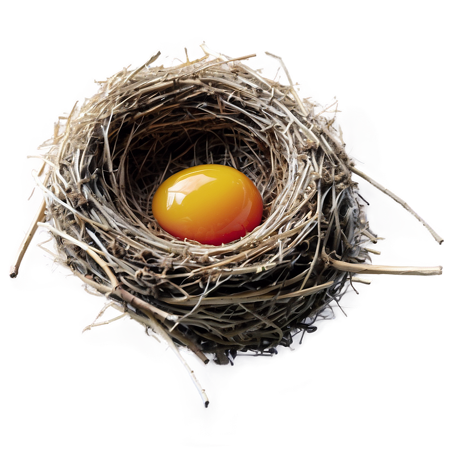 Bird Nest And Sunrise Png Dkj99 PNG image