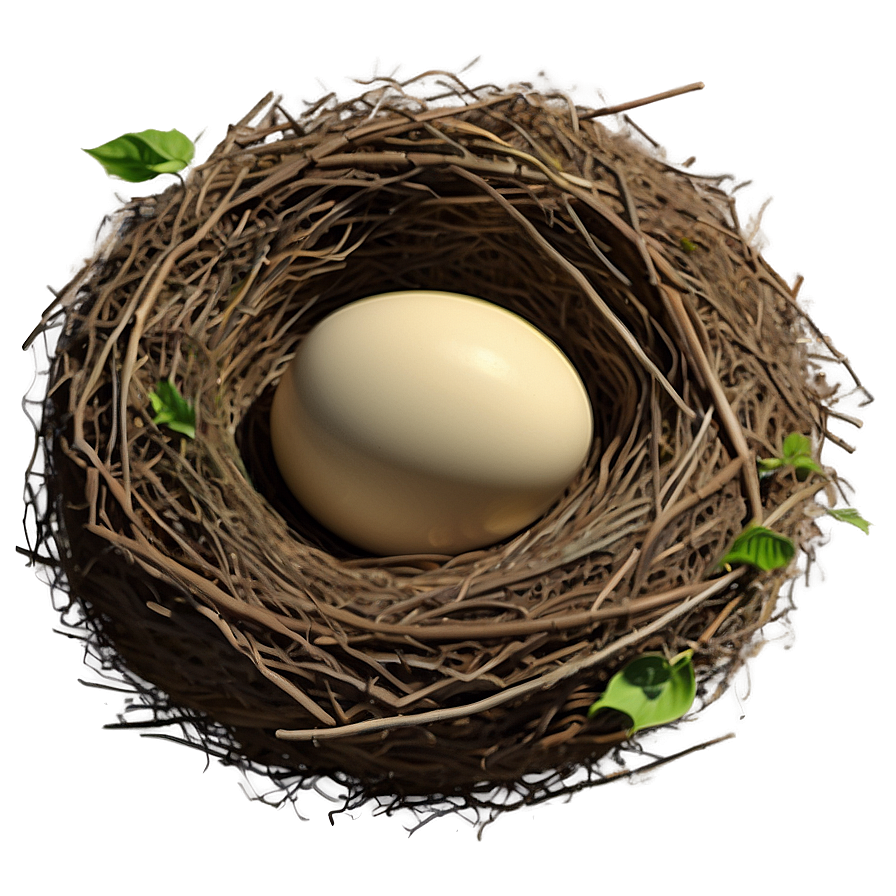 Bird Nest In Foliage Png 17 PNG image