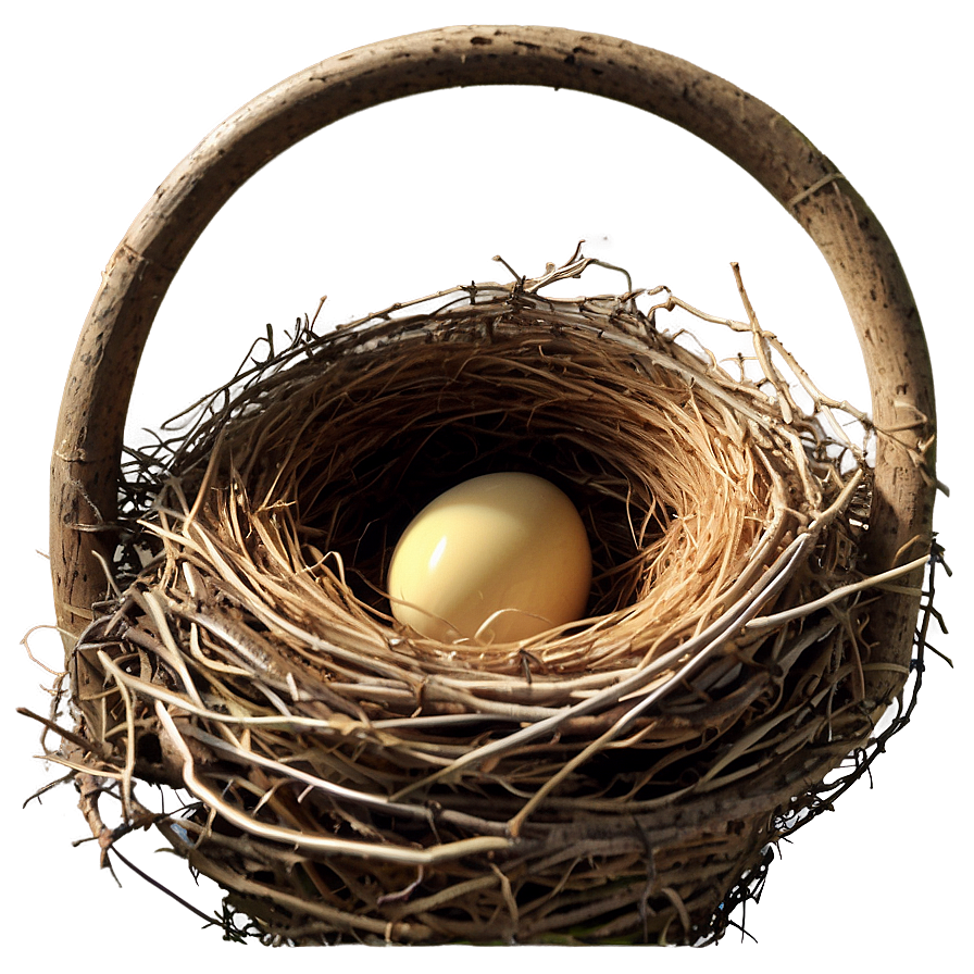 Bird Nest In Nesting Box Png Xil34 PNG image