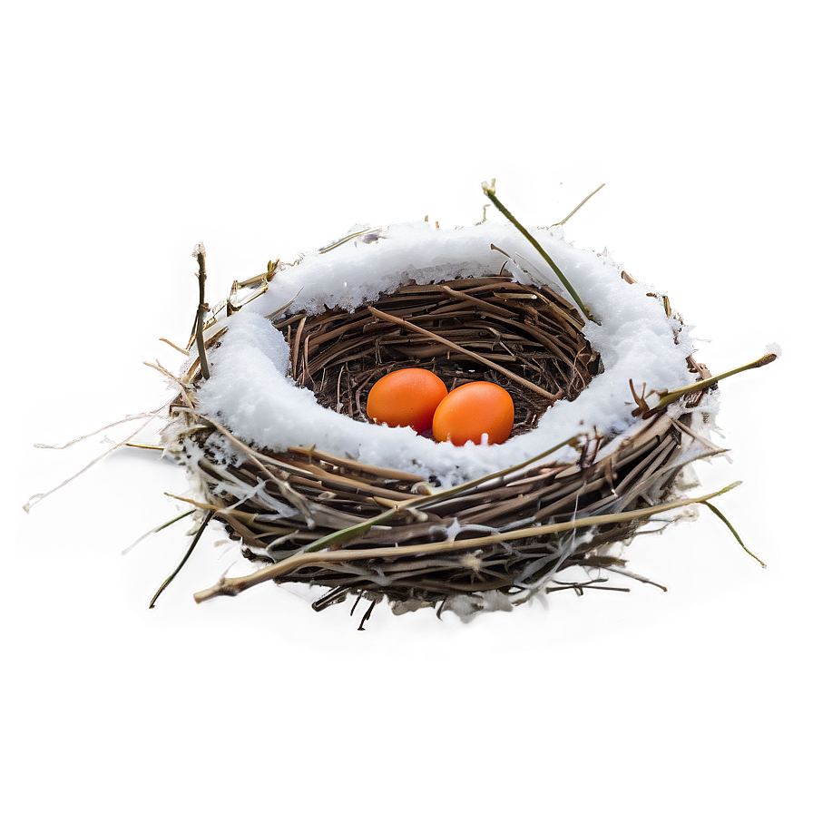 Bird Nest In Winter Png 06212024 PNG image