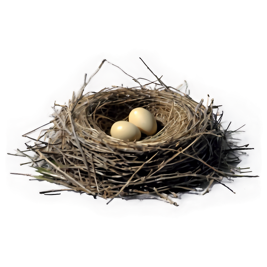 Bird Nest On Ground Png 06212024 PNG image