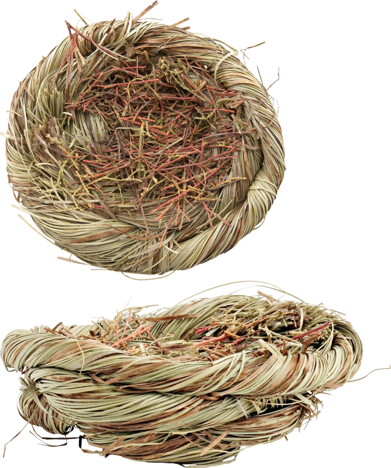 Bird Nest Twigs Top Side View PNG image