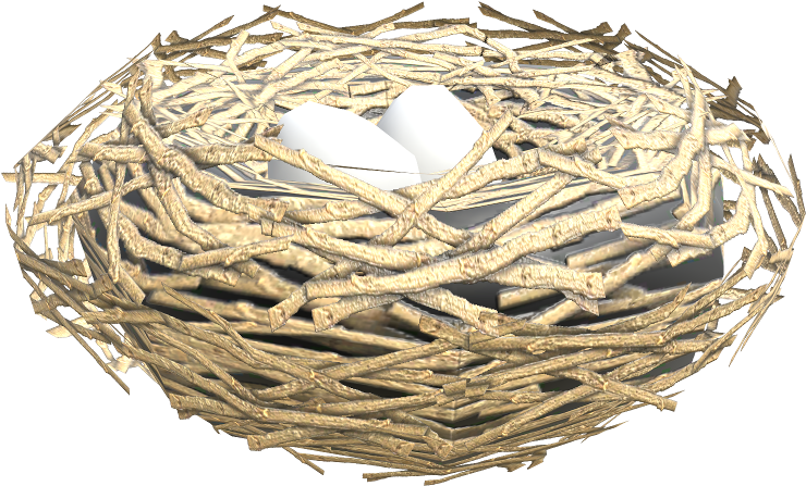 Bird Nest With Eggs3 D Render PNG image