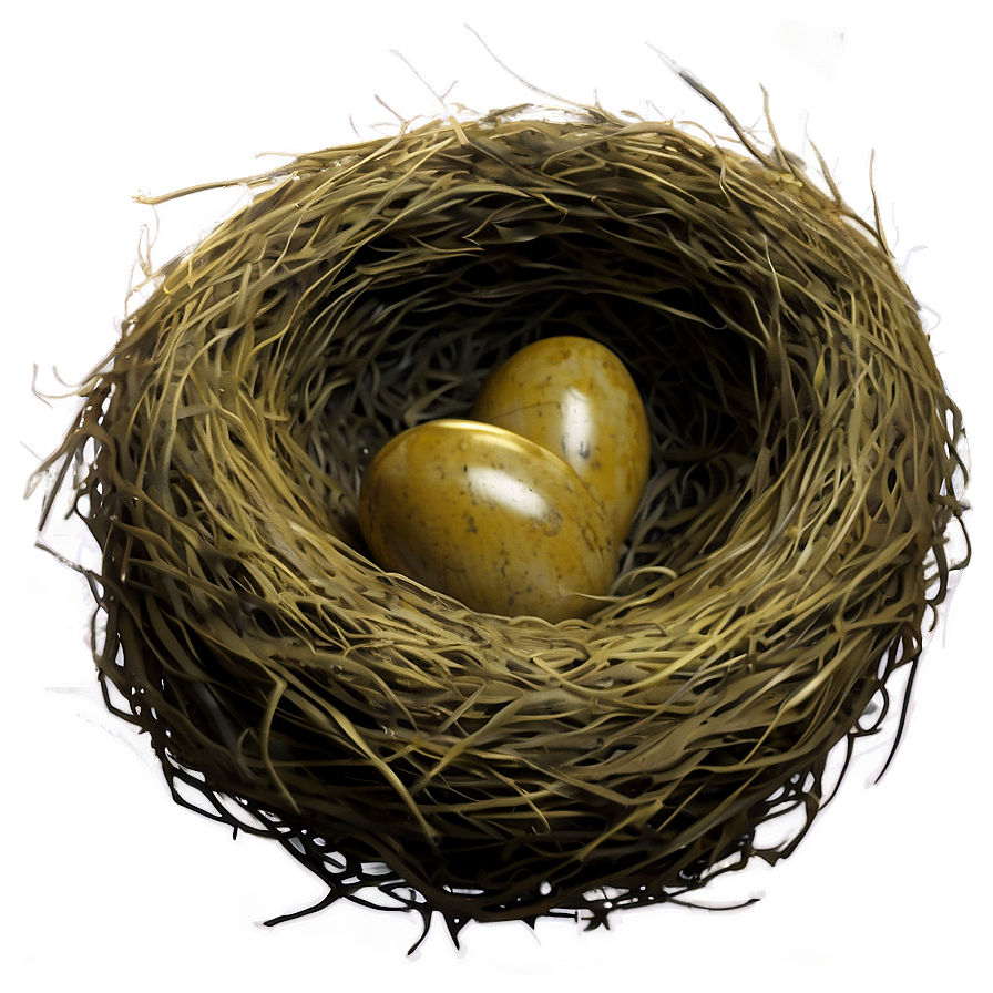 Bird Nest With Feathers Png 31 PNG image