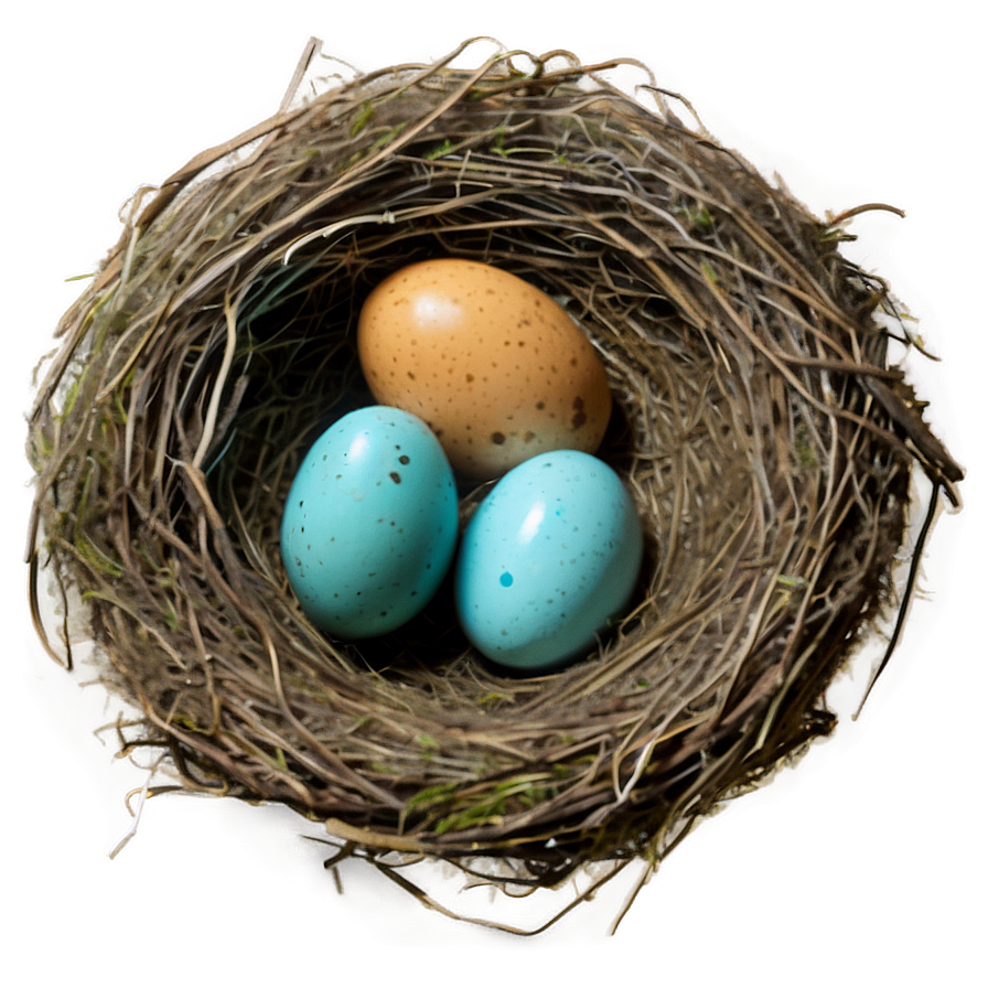 Bird Nest With Robin Eggs Png 06212024 PNG image