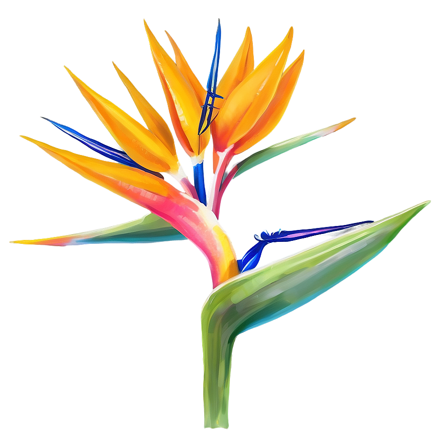 Bird Of Paradise Flower Png Lkm32 PNG image