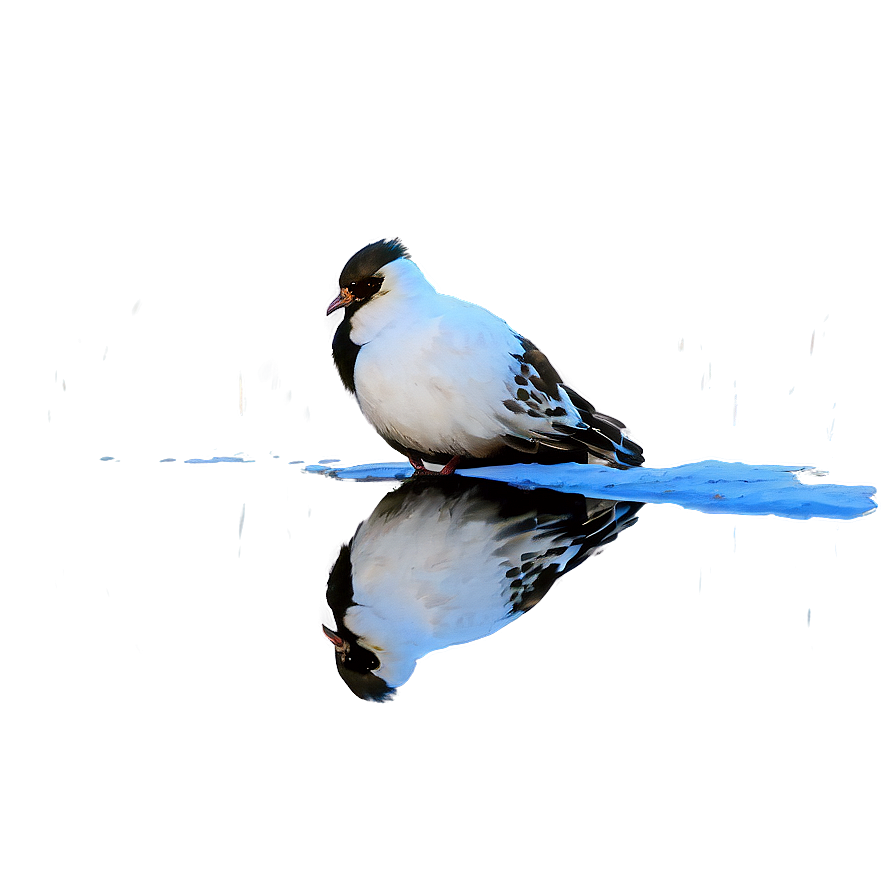 Bird Reflection Png 06112024 PNG image