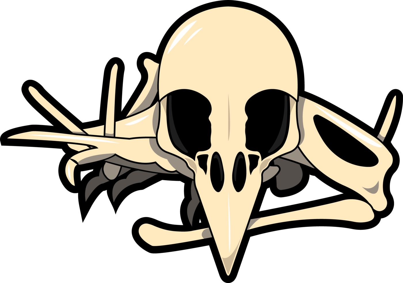 Bird Skull Illustration PNG image