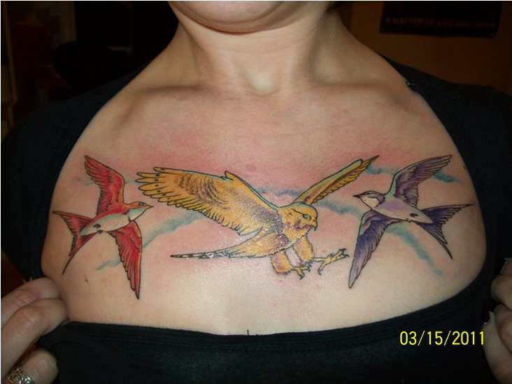 Bird Tattoo Chest Piece2011 PNG image