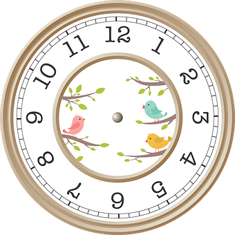 Bird Themed Wall Clock PNG image