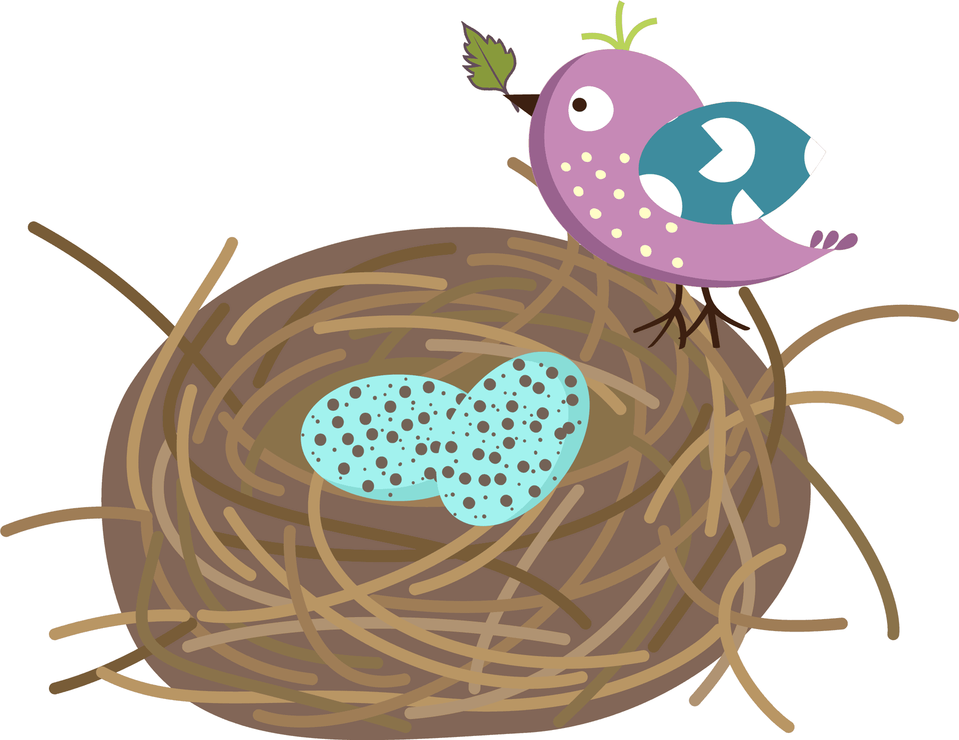 Birdand Eggsin Nest Illustration PNG image