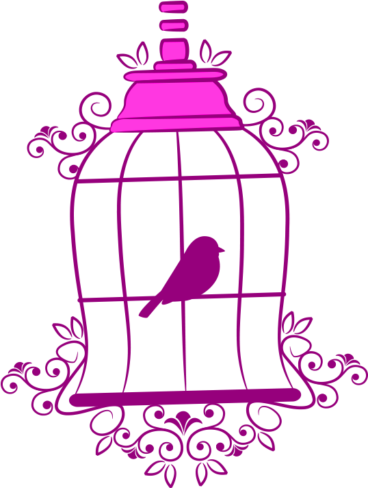 Birdin Decorative Cage Illustration PNG image