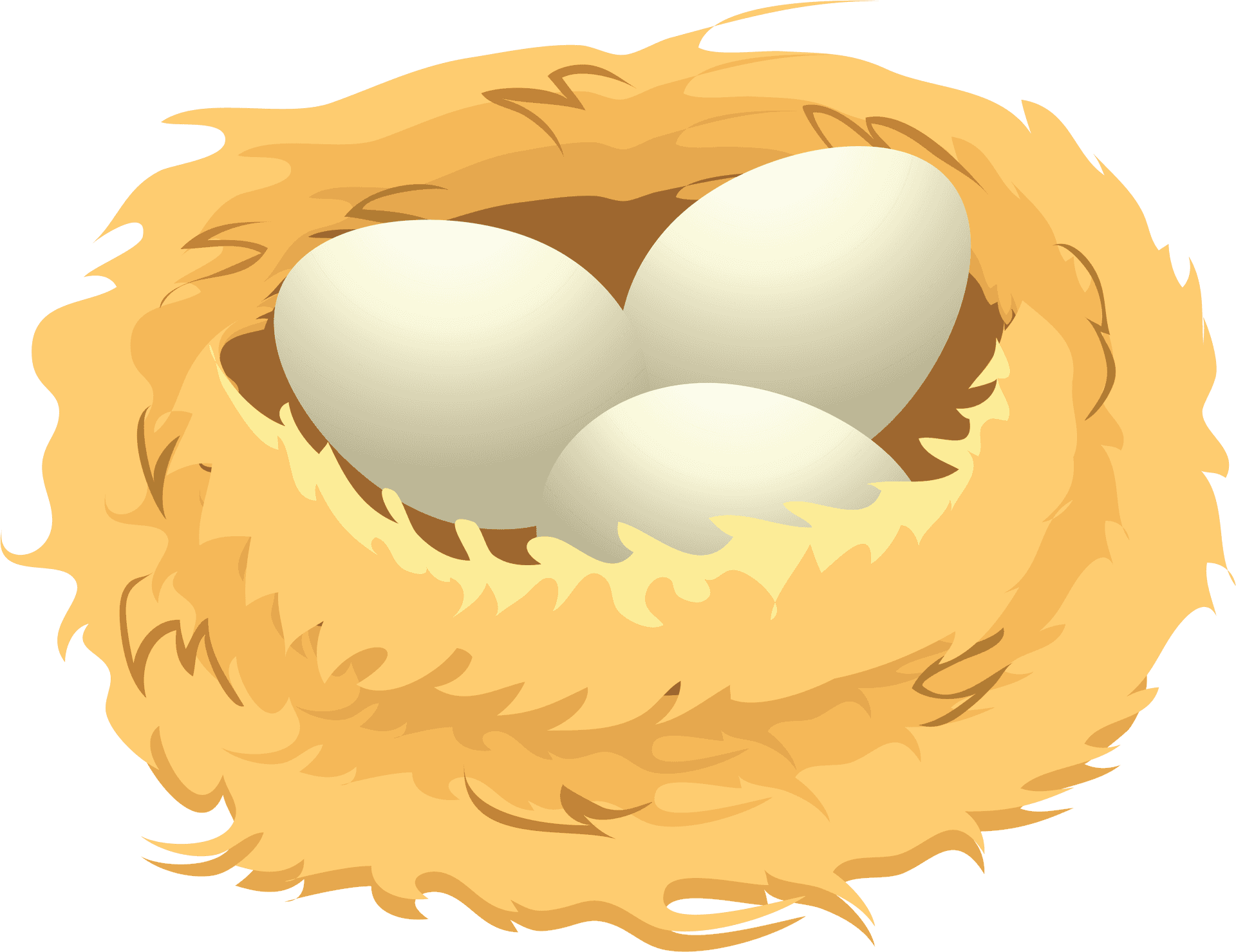 Birds Eggsin Nest Illustration PNG image