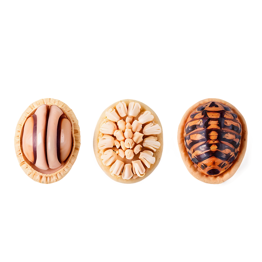 Bite-sized Concha Delicacies Png Kow PNG image