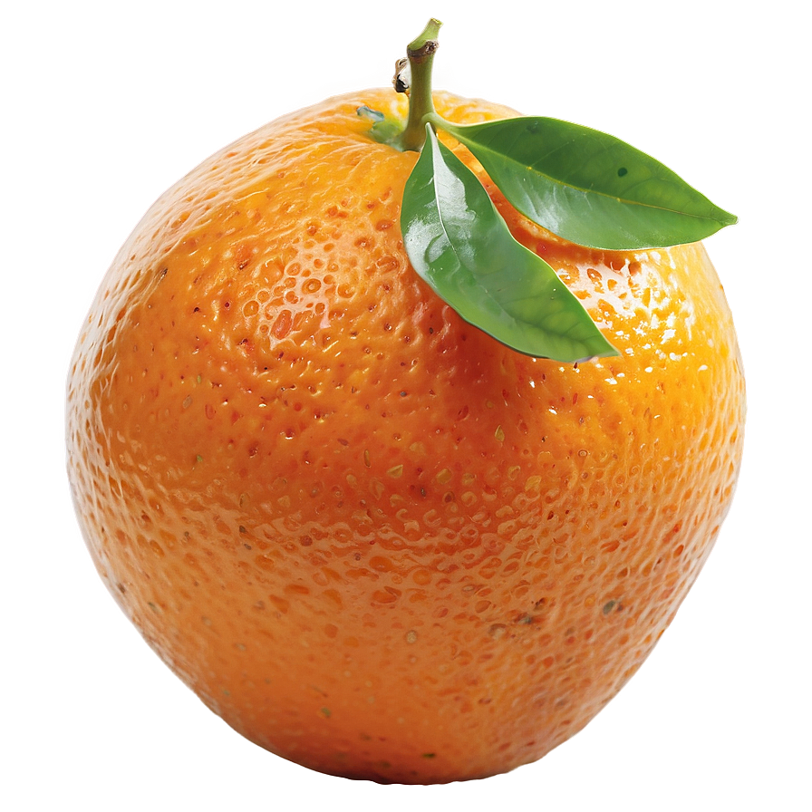 Bitter Orange Fruit Png 05032024 PNG image