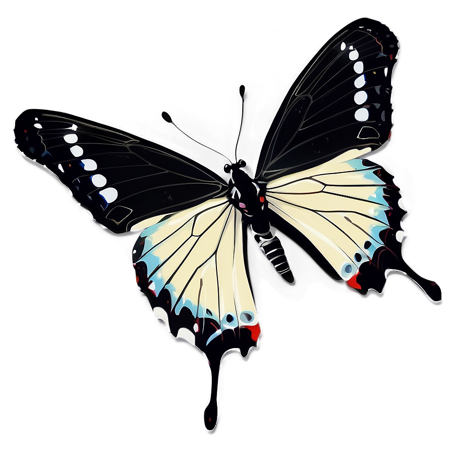 Black And White Butterfly Png 04292024 PNG image