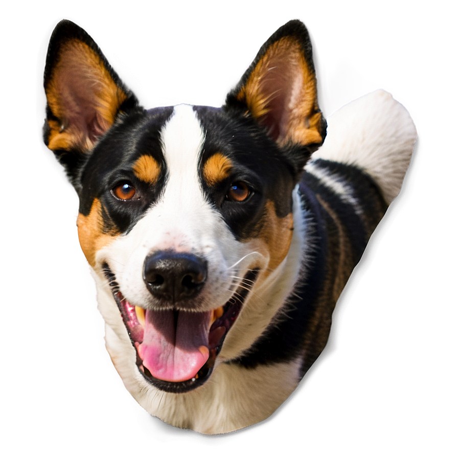 Black And White Dogs Png Brh2 PNG image