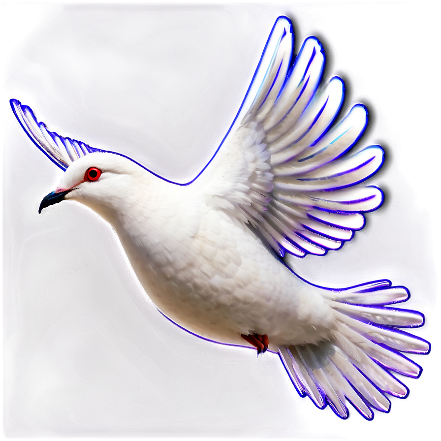 Black And White Dove Clipart Png 9 PNG image