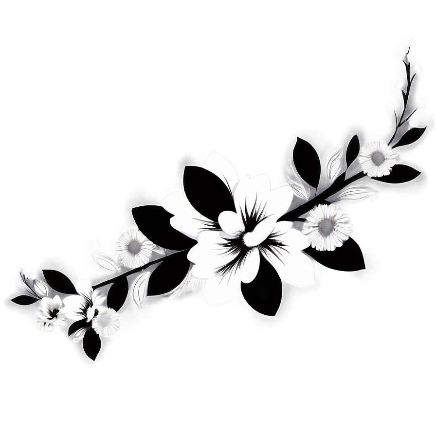 Black And White Floral Art Png 06282024 PNG image