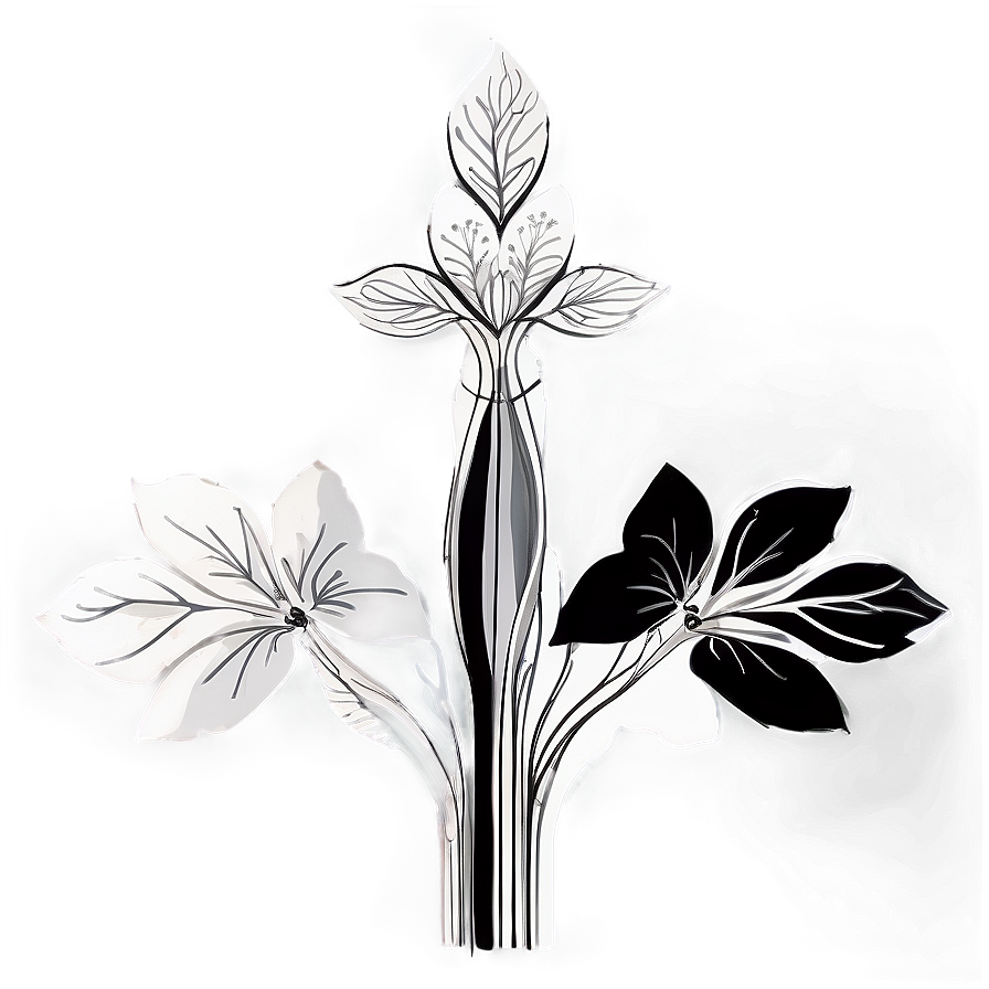 Black And White Floral Art Png Fxy PNG image