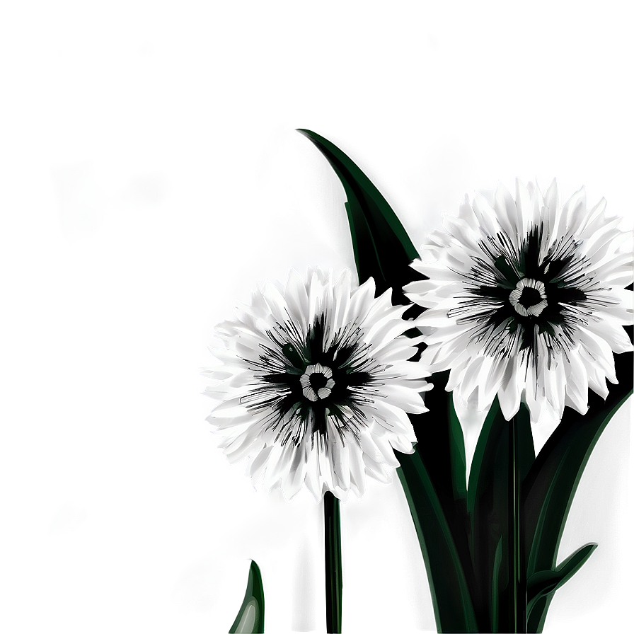 Black And White Flowers A PNG image