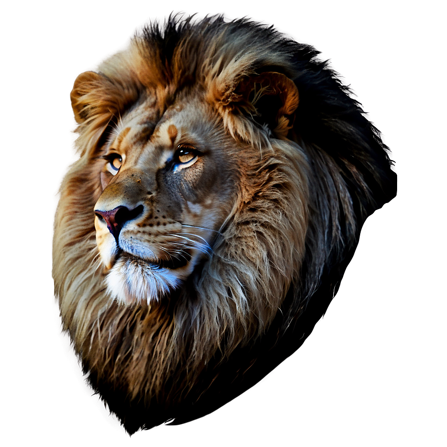 Black And White Lion Png Jdf PNG image