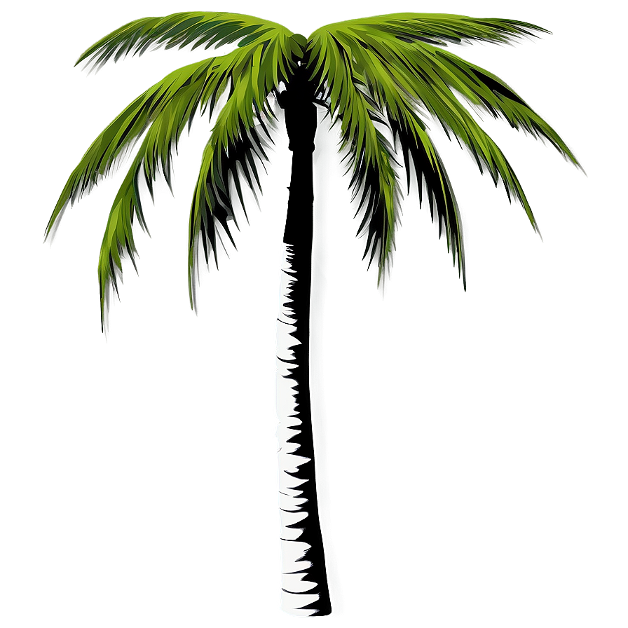 Black And White Palm Tree Png 04292024 PNG image