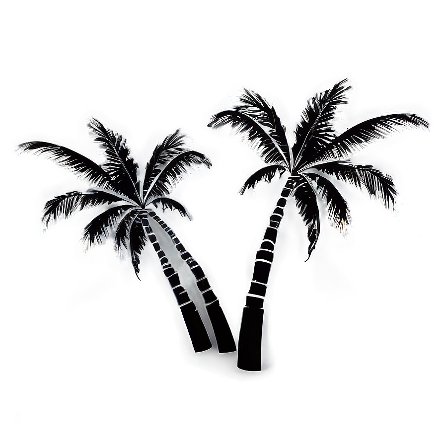 Black And White Palm Trees Png 05042024 PNG image