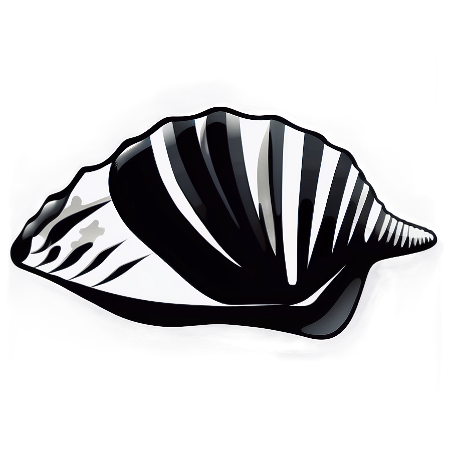 Black And White Seashell Clipart Png 3 PNG image