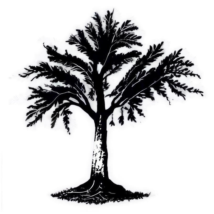 Black And White Tree D PNG image