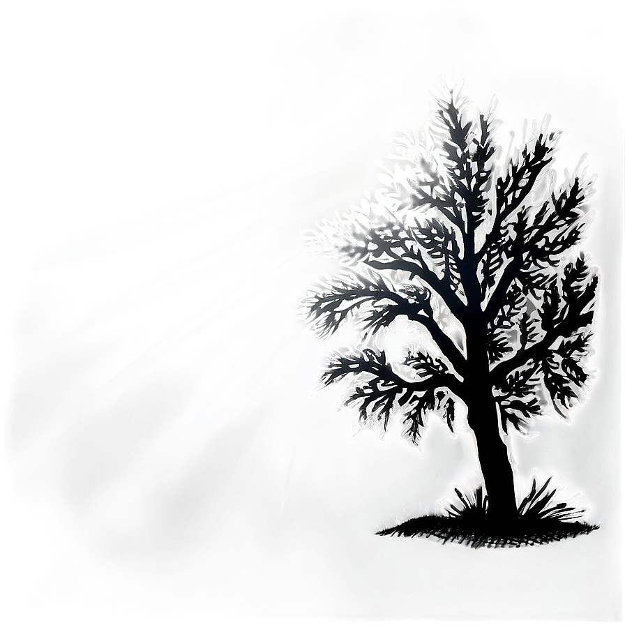 Black And White Tree With Sun Rays Png 06252024 PNG image