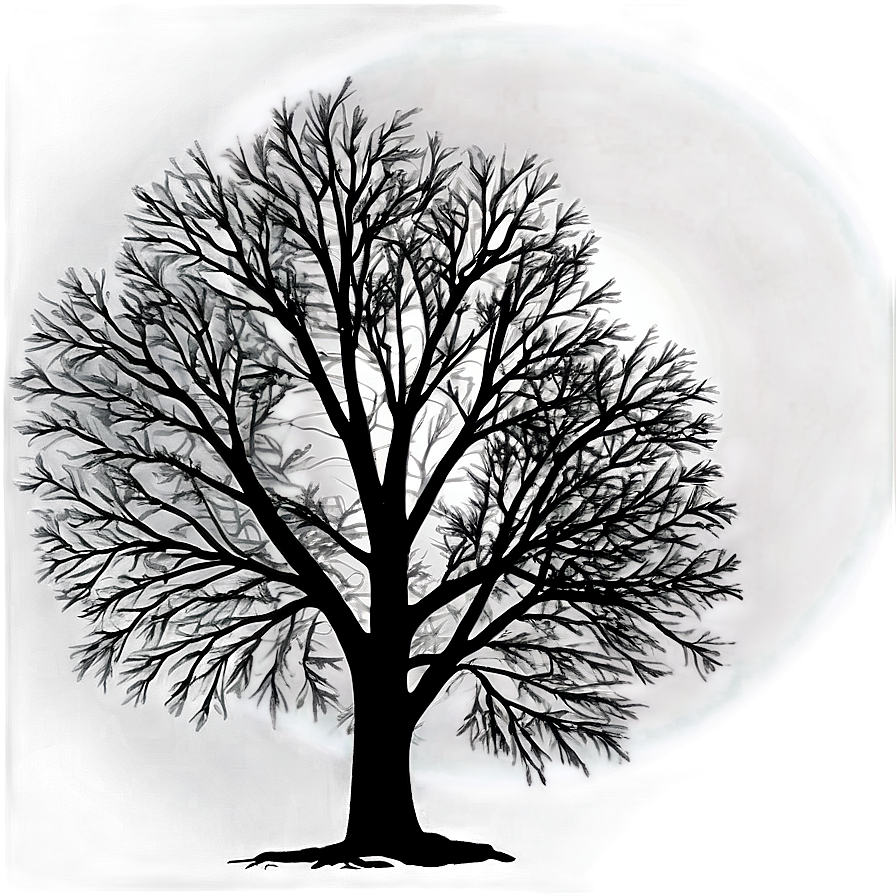 Black And White Tree With Sun Rays Png Uqh PNG image