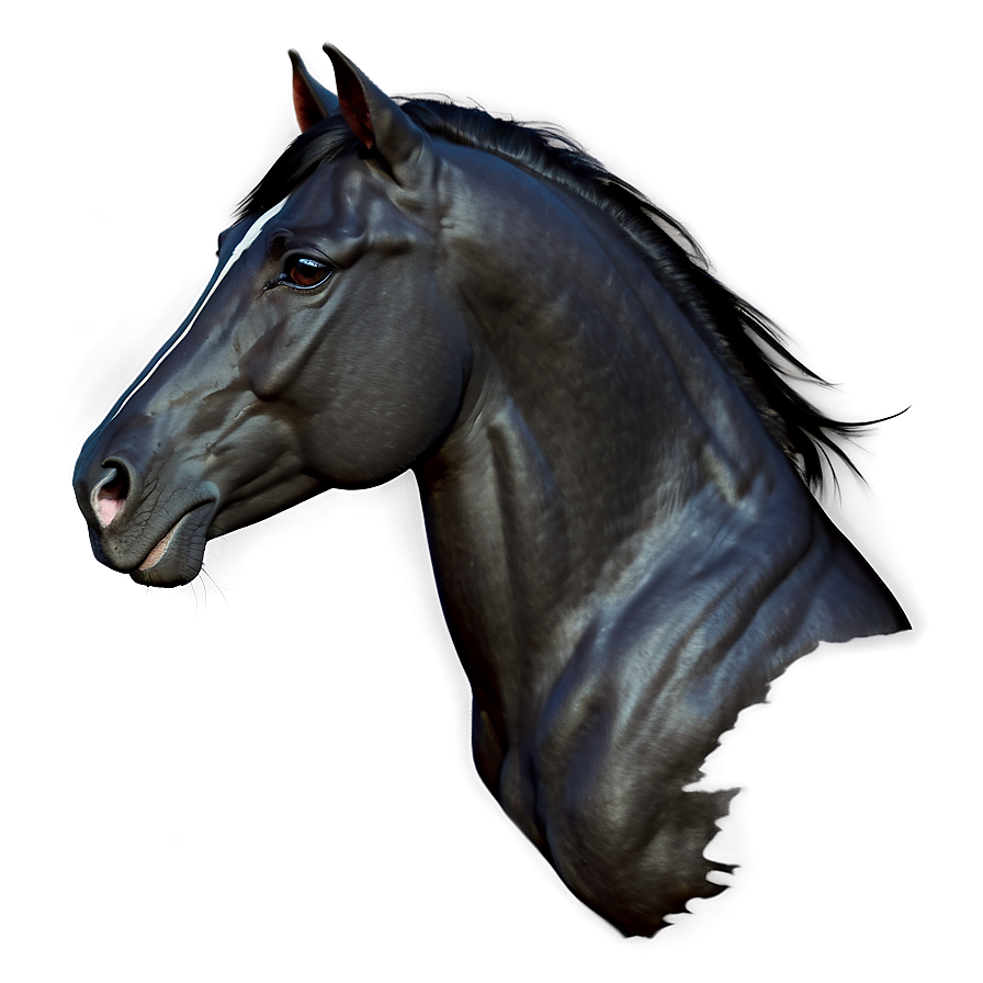 Black Andalusian Horse Beauty Png 06262024 PNG image