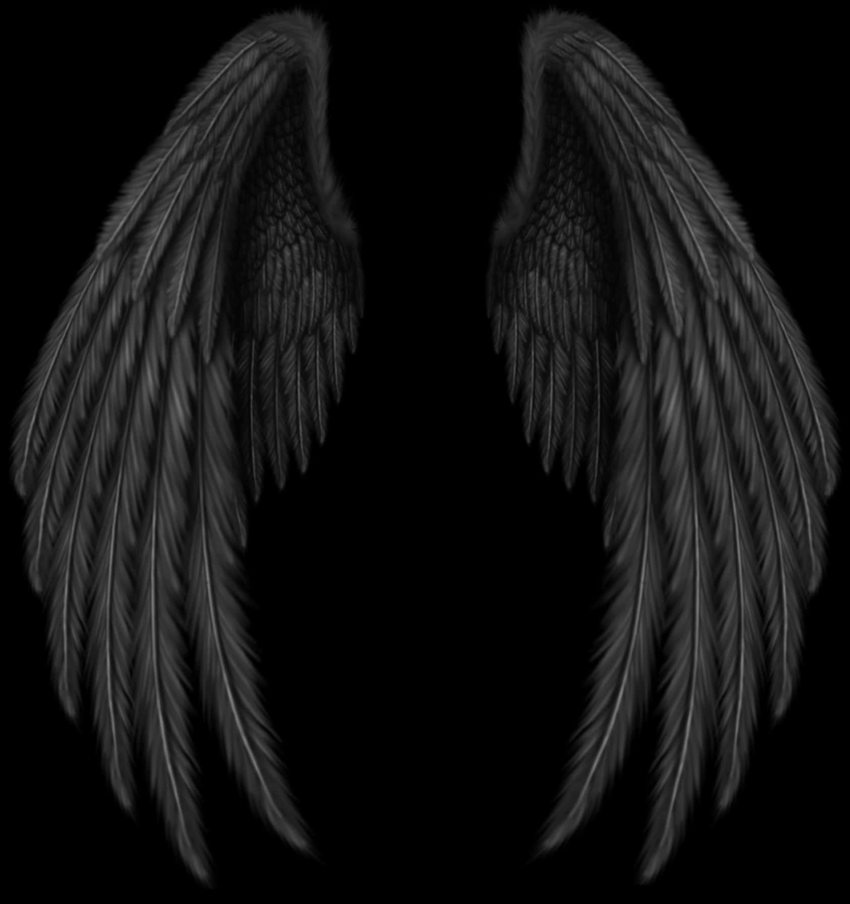 Black Angel Wings PNG image