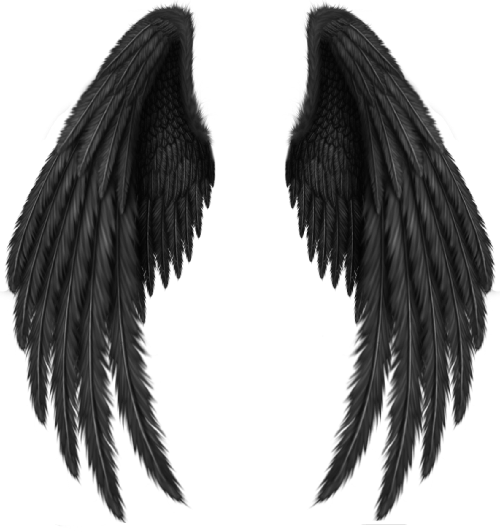 Black Angel Wings PNG image