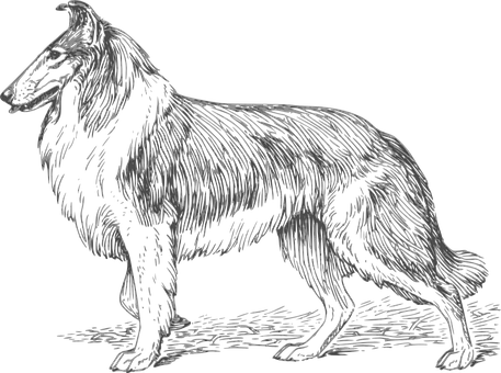 Black Background Dog Illustration PNG image