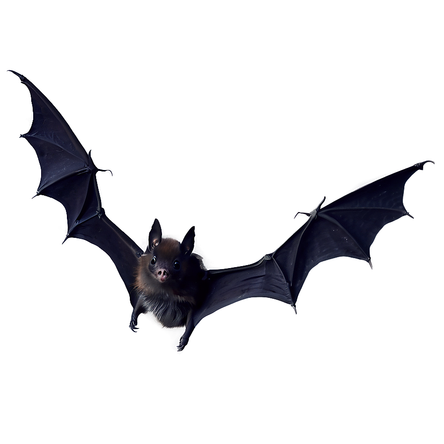 Black Bats Cutout Png Oau PNG image