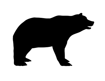 Black Bear Silhouette PNG image