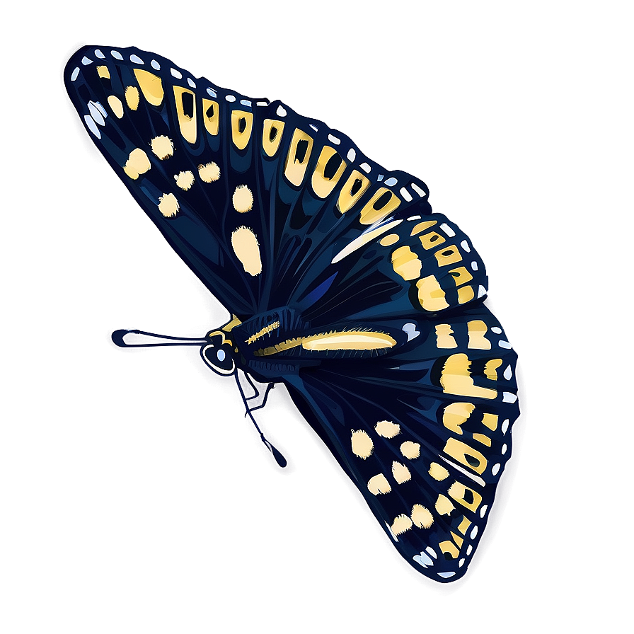 Black Butterfly Illustration Png Rgi PNG image