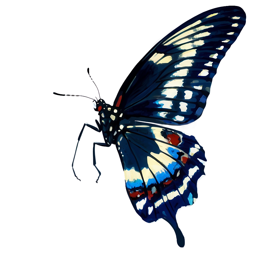 Black Butterfly In Flight Png 06252024 PNG image