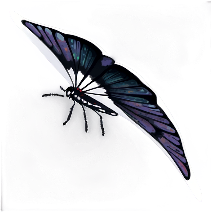 Black Butterfly On White Png 45 PNG image