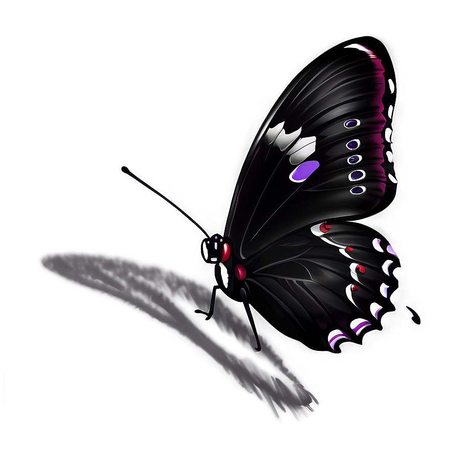 Black Butterfly Sketch Png 06252024 PNG image