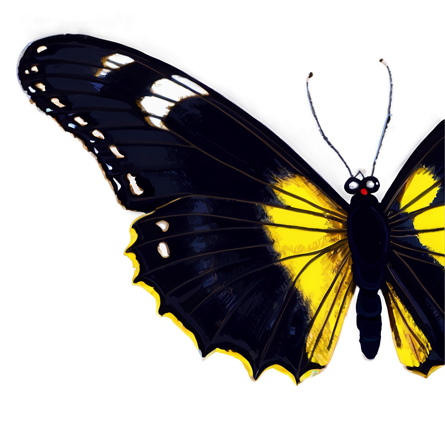 Black Butterfly Sketch Png 06252024 PNG image