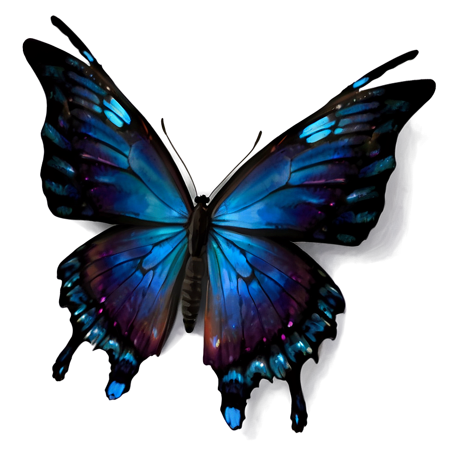 Black Butterfly With Blue Highlights Png Guf77 PNG image