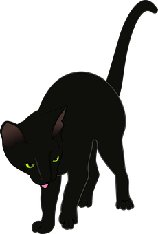 Black Cat Cartoon Illustration PNG image