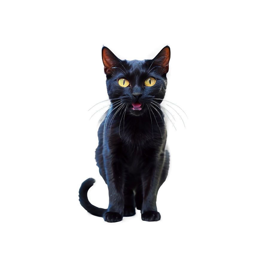 Black Cat Hissing Png 7 PNG image