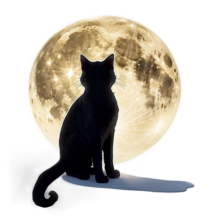 Black Cat In Moonlight Png Ttl93 PNG image