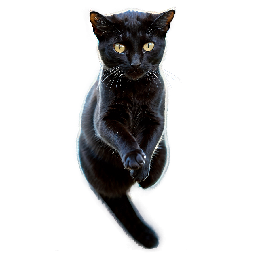 Black Cat Leaping Png 05232024 PNG image